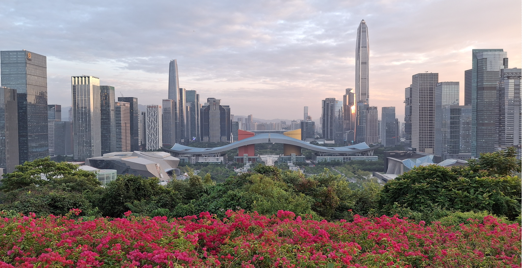 Vue panoramique de Shenzhen